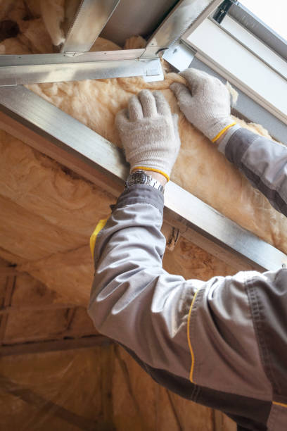 Best Attic Insulation Installation  in Oriole Beach, FL