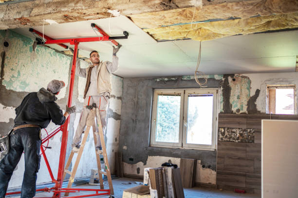 Best Spray Foam Insulation  in Oriole Beach, FL